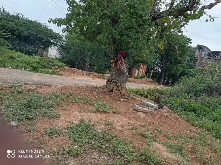 Arulmigu Ammachiyar Temple, T.Paraikulam - 625706 அருள்மிகு அம்மாச்சியார் திருக்கோவில், T.Paraikulam - 625706, Madurai - Ancient Temple Architecture and History Image 4