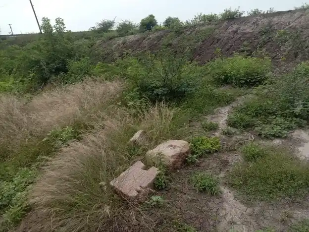 Arulmigu Ammachiyar Temple, Thayaneri - 625706 Temple