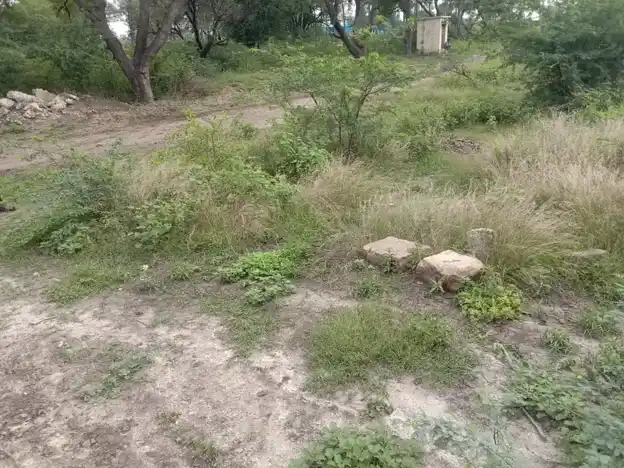 Arulmigu Ammachiyar Temple, Thayaneri - 625706 Arulmigu Ammachiyar Temple, Thayaneri - 625706, Madurai - Ancient Temple Architecture and History Image 2
