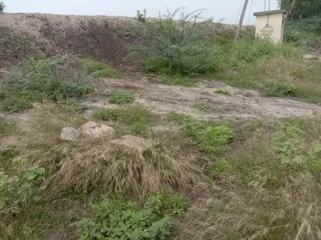 Arulmigu Ammachiyar Temple, Thayaneri - 625706 Arulmigu Ammachiyar Temple, Thayaneri - 625706, Madurai - Ancient Temple Architecture and History Image 3