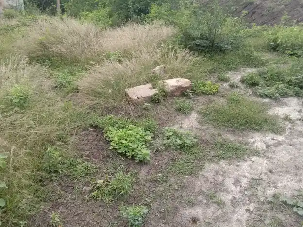 Arulmigu Ammachiyar Temple, Thayaneri - 625706 Arulmigu Ammachiyar Temple, Thayaneri - 625706, Madurai - Ancient Temple Architecture and History Image 4