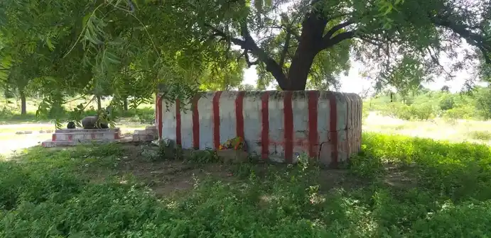 Arulmigu Ammachiyar Temple, Thrali - 625706 அருள்மிகு அம்ம நாச்சியார் திருக்கோயில், Thrali - 625706, Madurai - Ancient Temple Architecture and History Image 3