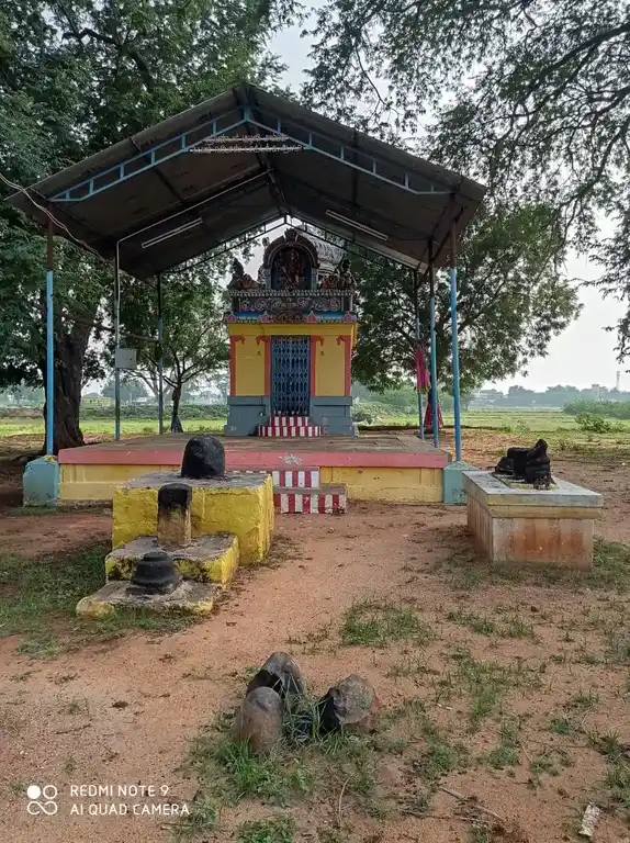 Arulmigu Ammachiyar @ Vandaarkulali Temple, Villur - 625707 Arulmigu Ammachiyar @ Vandaarkulali Temple, Villur - 625707, Madurai - Ancient Temple Architecture and History Image 2