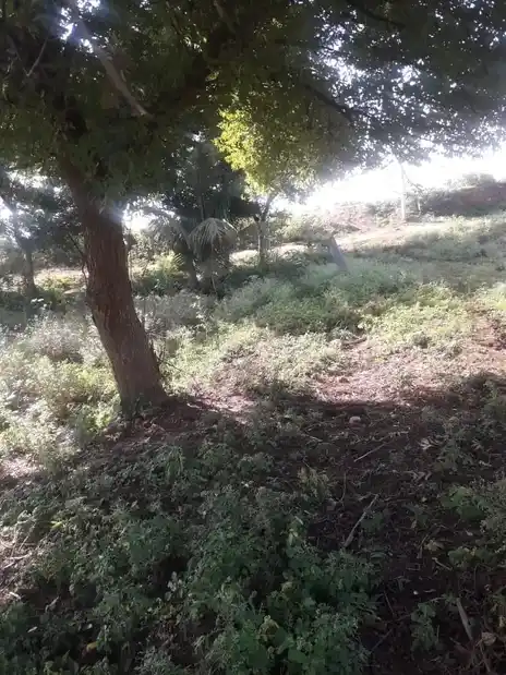 Arulmigu Ammachjyar Temple, Keripatti - 625535 அம்மச்சியார் திருக்கோயில், Keripatti - 625535, Madurai - Ancient Temple Architecture and History Image 3