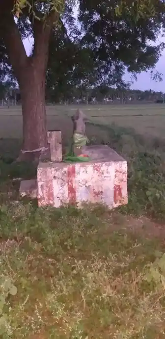 Arulmigu Ammaciyar Temple, Alagusirai - 625704 அருள்மிகு அம்மச்சியார் திருக்கோயில், Alagusirai - 625704, Madurai - Ancient Temple Architecture and History Image 2