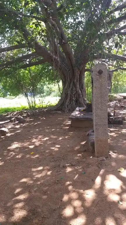 Arulmigu Ammaciyar Temple, Pappapatti - 625537 அருள்மிகு அம்மச்சியார் திருக்கோயில், Pappapatti - 625537, Madurai - Ancient Temple Architecture and History Image 2