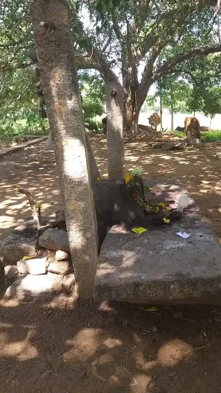 Arulmigu Ammaciyar Temple, Pappapatti - 625537 அருள்மிகு அம்மச்சியார் திருக்கோயில், Pappapatti - 625537, Madurai - Ancient Temple Architecture and History Image 4