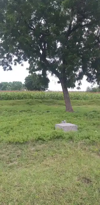 Arulmigu Ammacyar Temple, Ammapatti - 625706 அருள்மிகு அம்மச்சியார் திருக்கோயில், Ammapatti - 625706, Madurai - Ancient Temple Architecture and History Image 5