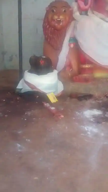 Arulmigu Ammakulam Easwaran Temple, Mallur - 621704 Arulmigu Ammakulam Easwaran Temple,  - 621704, Ariyalur - Ancient Temple Architecture and History Image 7