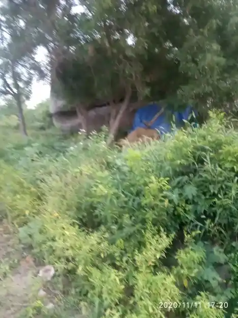 Arulmigu Amman Iyyanar Temple, Aavoor - 601604 அருள்மிகு ஓசூரம்மன் மற்றும் அய்யனார் திருக்கோயில், Aavoor - 601604, Tiruvannamalai - Ancient Temple Architecture and History Image 9