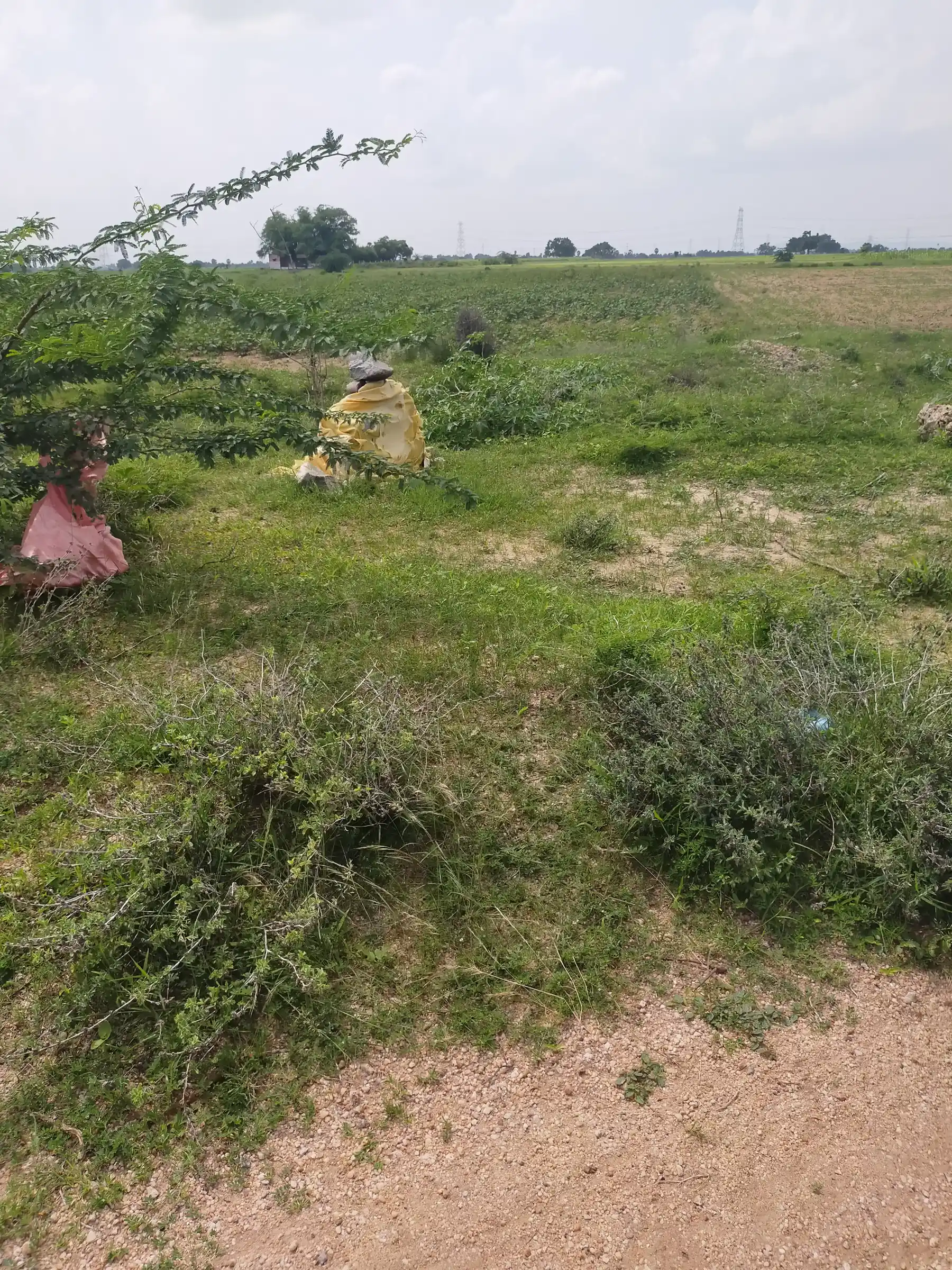 Arulmigu Amman Temple, Melairal - 628720 அருள்மிகு அம்மன் திருக்கோயில், Melairal - 628720, Thoothukudi - Ancient Temple Architecture and History Image 3