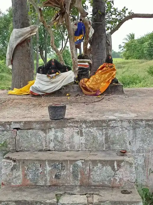 Arulmigu Amman Temple, Periyakannanoor, Periyakannanoor - 630561 Arulmigu Amman Temple, Periyakannanoor, Periyakannanoor - 630561, Sivagangai - Ancient Temple Architecture and History Image 2