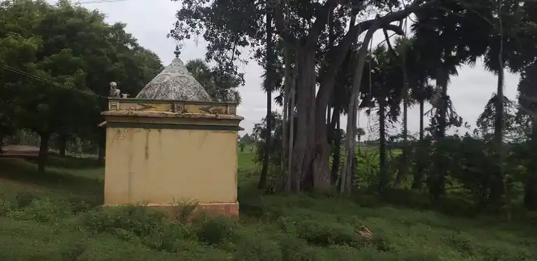 Arulmigu Amman Temple, Sannathiputhukulm - 630606 அருள்மிகு. அம்மன் திருக்கோயில், Sannathiputhukulm, Sannathiputhukulm - 630606, Sivagangai - Ancient Temple Architecture and History Image 4