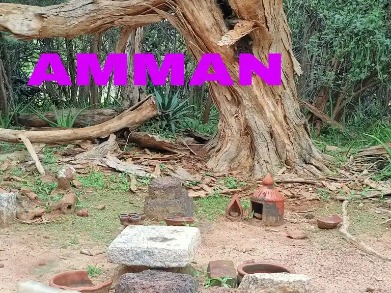 Arulmigu Amman Temple, Satharasankottai - 630561 அருள்மிகு. அம்மன் திருக்கோயில், Satharasankottai - 630561, Sivagangai - Ancient Temple Architecture and History Image 4