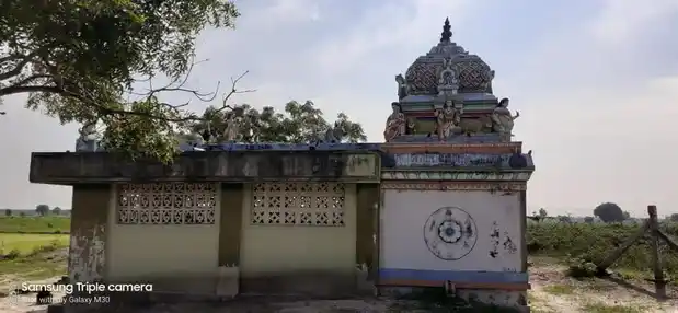 Arulmigu Amman Temple, Seyyalur - 630702 அருள்மிகு அம்மன் திருக்கோயில், செய்யாலூர் - 630702, Ramanathapuram - Ancient Temple Architecture and History Image 2