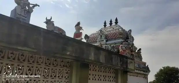 Arulmigu Amman Temple, Seyyalur - 630702 அருள்மிகு அம்மன் திருக்கோயில், செய்யாலூர் - 630702, Ramanathapuram - Ancient Temple Architecture and History Image 3