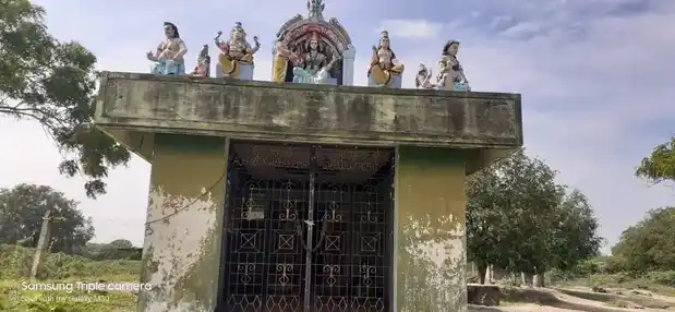 Arulmigu Amman Temple, Seyyalur - 630702 அருள்மிகு அம்மன் திருக்கோயில், செய்யாலூர் - 630702, Ramanathapuram - Ancient Temple Architecture and History Image 4