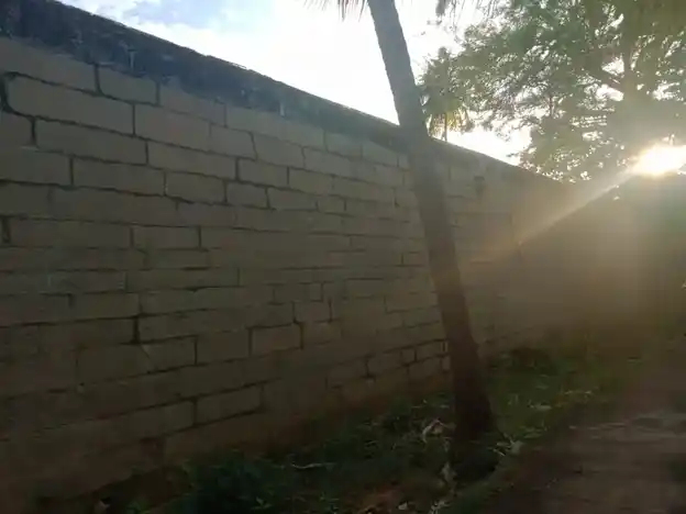 Arulmigu Ammanathaswamy Temple, Cheran Mahadevi - 627414 அருள்மிகு அம்மநாதசுவாமி திருக்கோயில், Cheran Mahadevi - 627414, Tirunelveli - Ancient Temple Architecture and History Image 3