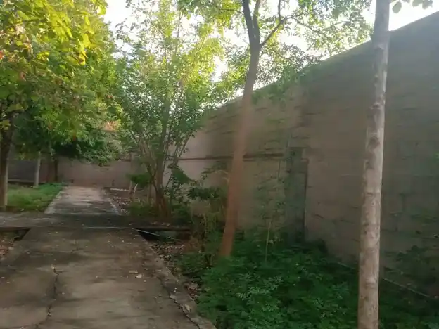 Arulmigu Ammanathaswamy Temple, Cheran Mahadevi - 627414 அருள்மிகு அம்மநாதசுவாமி திருக்கோயில், Cheran Mahadevi - 627414, Tirunelveli - Ancient Temple Architecture and History Image 4