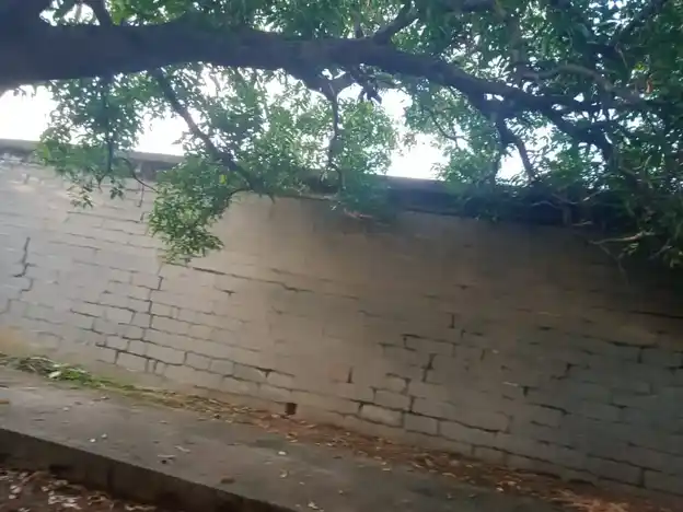 Arulmigu Ammanathaswamy Temple, Cheran Mahadevi - 627414 அருள்மிகு அம்மநாதசுவாமி திருக்கோயில், Cheran Mahadevi - 627414, Tirunelveli - Ancient Temple Architecture and History Image 5