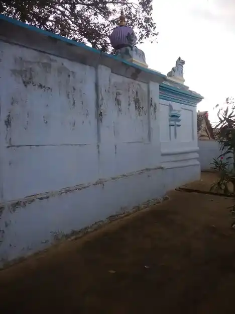 Arulmigu Ammaneeswarar Temple, Kittasuranpalayam - 642120 அருள்மிகு அம்மணீஸ்வரர் திருக்கோயில், Kittasuranpalayam - 642120, Coimbatore - Ancient Temple Architecture and History Image 4