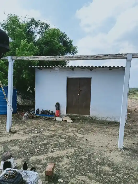 Arulmigu Ammaneeswarar Temple, Mettuvavi, Mettuvavi - 642202