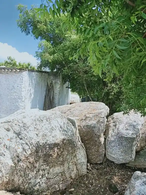 Arulmigu Ammaneeswarar Temple, Mettuvavi, Mettuvavi - 642202 அருள்மிகு அம்மணீஸ்வரர் திருக்கோயில், மெட்டுவாவி, மெட்டுவாவி - 642202, Coimbatore - Ancient Temple Architecture and History Image 2