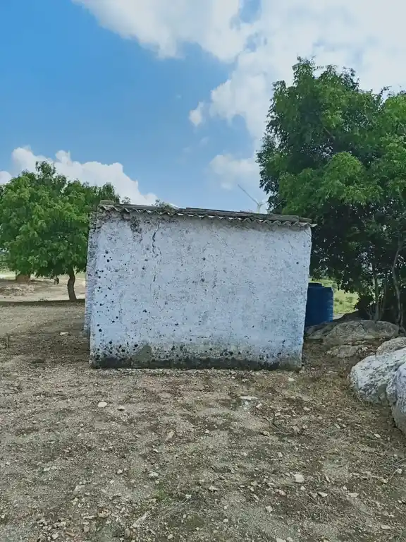 Arulmigu Ammaneeswarar Temple, Mettuvavi, Mettuvavi - 642202 அருள்மிகு அம்மணீஸ்வரர் திருக்கோயில், மெட்டுவாவி, மெட்டுவாவி - 642202, Coimbatore - Ancient Temple Architecture and History Image 3