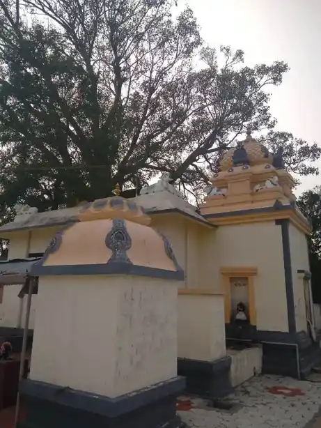 Arulmigu Ammaneeswarar Temple, Naickenpalayam, Pollachi - 642004