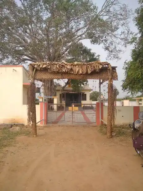 Arulmigu Ammaneeswarar Temple, Naickenpalayam, Pollachi - 642004 அருள்மிகு அம்மணீஸ்வரர் திருக்கோயில், Naickenpalayam, Pollachi - 642004, Coimbatore - Ancient Temple Architecture and History Image 2