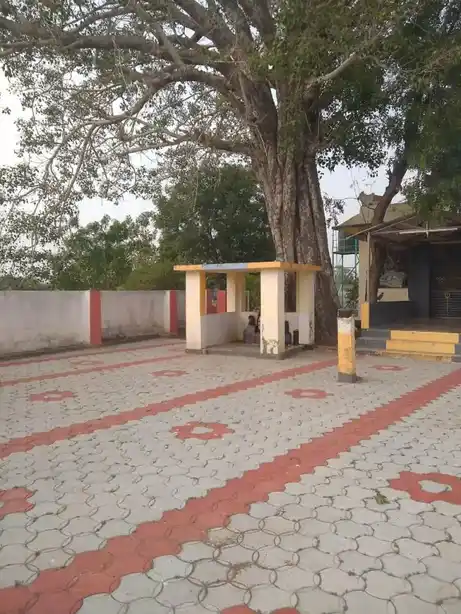 Arulmigu Ammaneeswarar Temple, Naickenpalayam, Pollachi - 642004 அருள்மிகு அம்மணீஸ்வரர் திருக்கோயில், Naickenpalayam, Pollachi - 642004, Coimbatore - Ancient Temple Architecture and History Image 3