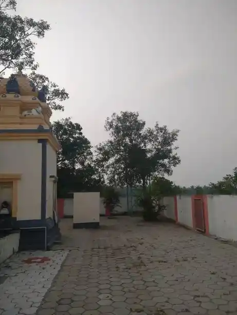 Arulmigu Ammaneeswarar Temple, Naickenpalayam, Pollachi - 642004 அருள்மிகு அம்மணீஸ்வரர் திருக்கோயில், Naickenpalayam, Pollachi - 642004, Coimbatore - Ancient Temple Architecture and History Image 4