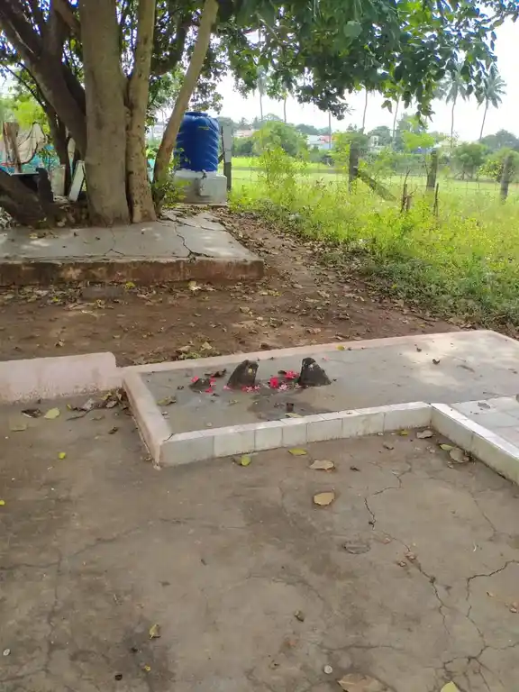 Arulmigu Ammaneeswarar Temple, Sangampalayam - 642002 அருள்மிகு அம்மணீஸ்வரர் திருக்கோயில், சங்கம்பாளையம் - 642002, Coimbatore - Ancient Temple Architecture and History Image 3