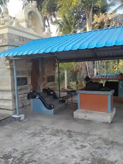 Arulmigu Ammaneeswarar Temple, Zaminuthukuli, Zaminuthukuli - 642004 அருள்மிகு அம்மணீஸ்வரர் திருக்கோயில், ஜமினுத்துக்குளி, Zaminuthukuli - 642004, Coimbatore - Ancient Temple Architecture and History Image 4