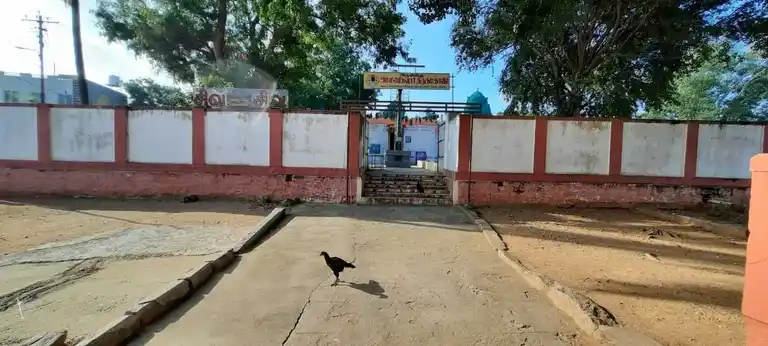 Arulmigu Ammaneeswarer Temple, T.Kottampatti, Pollachi - 642002