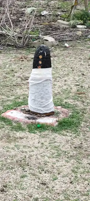 Arulmigu Ammatchiar Temple, Athikinaru - 628902