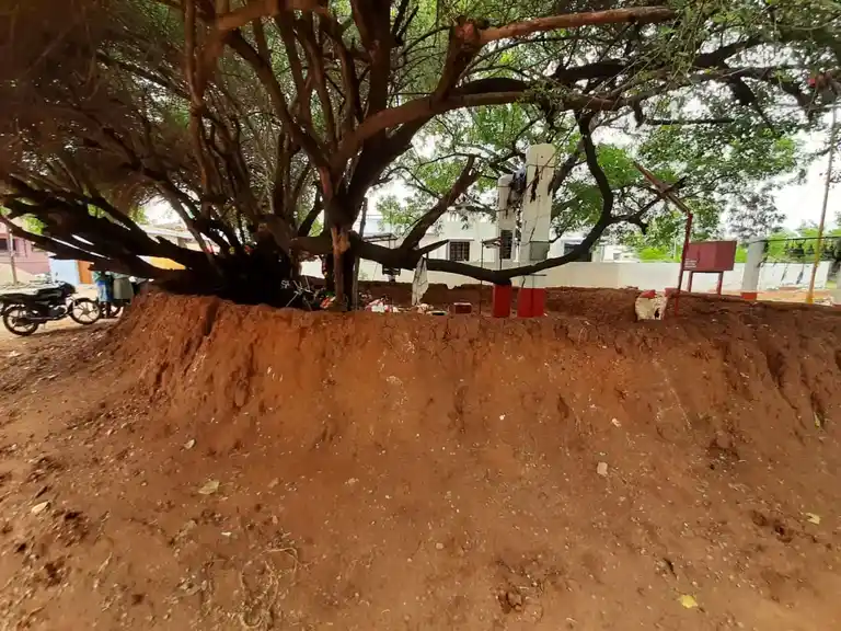 Arulmigu Ammatchiar Temple, Maniyatchi - 628952 அருள்மிகு அம்மச்சியார் திருக்கோயில், Maniyatchi - 628952, Thoothukudi - Ancient Temple Architecture and History Image 3