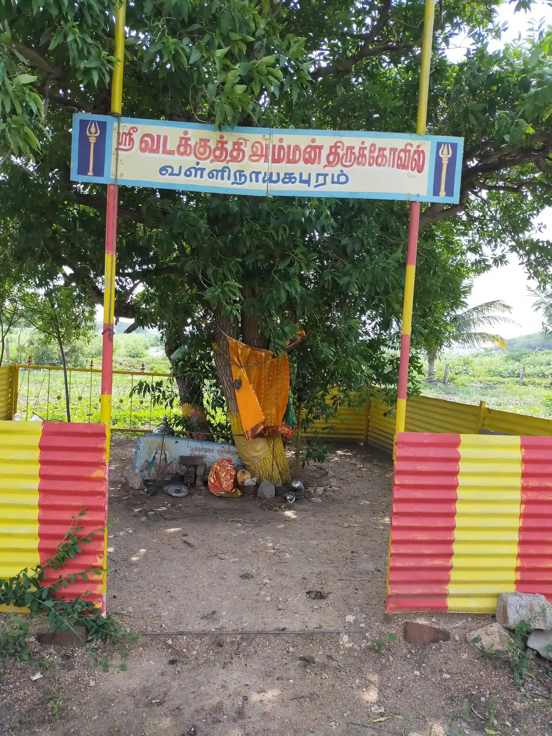 Arulmigu Ammatchiar Temple, Vallinayakipuram - 628503 அருள்மிகு அம்மச்சியார் திருக்கோயில், Vallinayakipuram - 628503, Thoothukudi - Ancient Temple Architecture and History Image 2