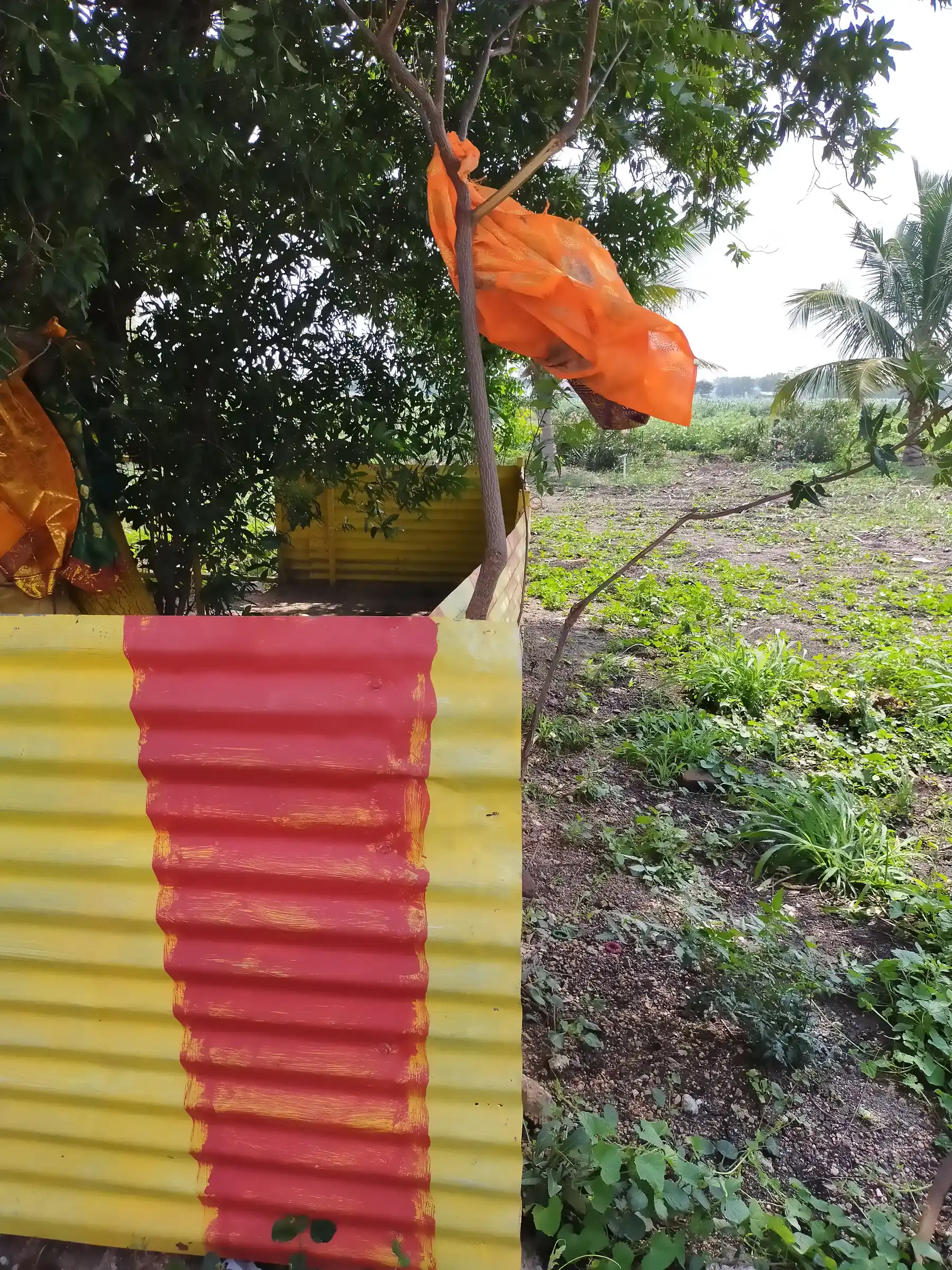 Arulmigu Ammatchiar Temple, Vallinayakipuram - 628503 அருள்மிகு அம்மச்சியார் திருக்கோயில், Vallinayakipuram - 628503, Thoothukudi - Ancient Temple Architecture and History Image 3