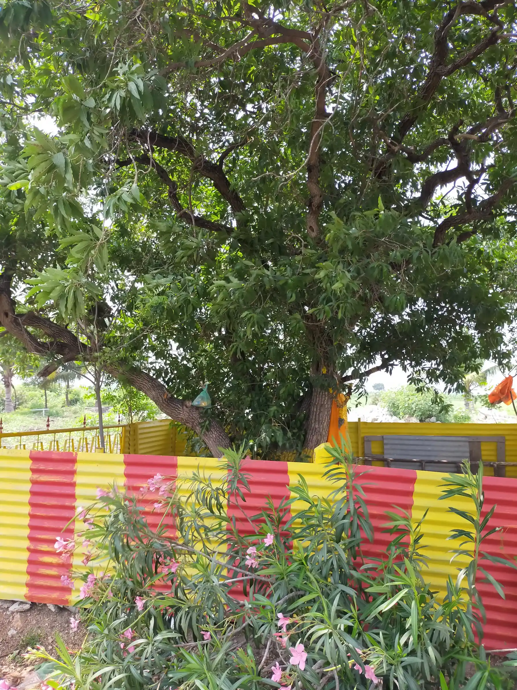 Arulmigu Ammatchiar Temple, Vallinayakipuram - 628503 அருள்மிகு அம்மச்சியார் திருக்கோயில், Vallinayakipuram - 628503, Thoothukudi - Ancient Temple Architecture and History Image 4