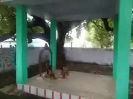 Arulmigu Ammatchiyar Aamman Temple, Thulukkapatti - 626102 அருள்மிகு அம்மாச்சியார் திருக்கோயில், துலக்கபட்டி - 626102, Virudhunagar - Ancient Temple Architecture and History Image 6