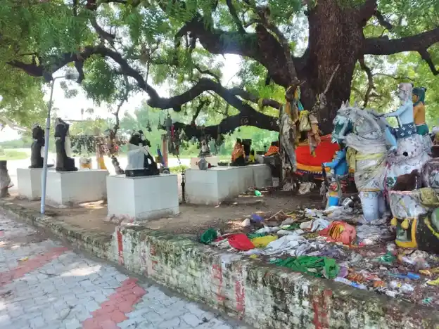 Arulmigu Ammatchiyar Temple, Kandai - 625535 அருள்மிகு அம்மச்சியார் திருக்கோயில், Kandai - 625535, Madurai - Ancient Temple Architecture and History Image 2
