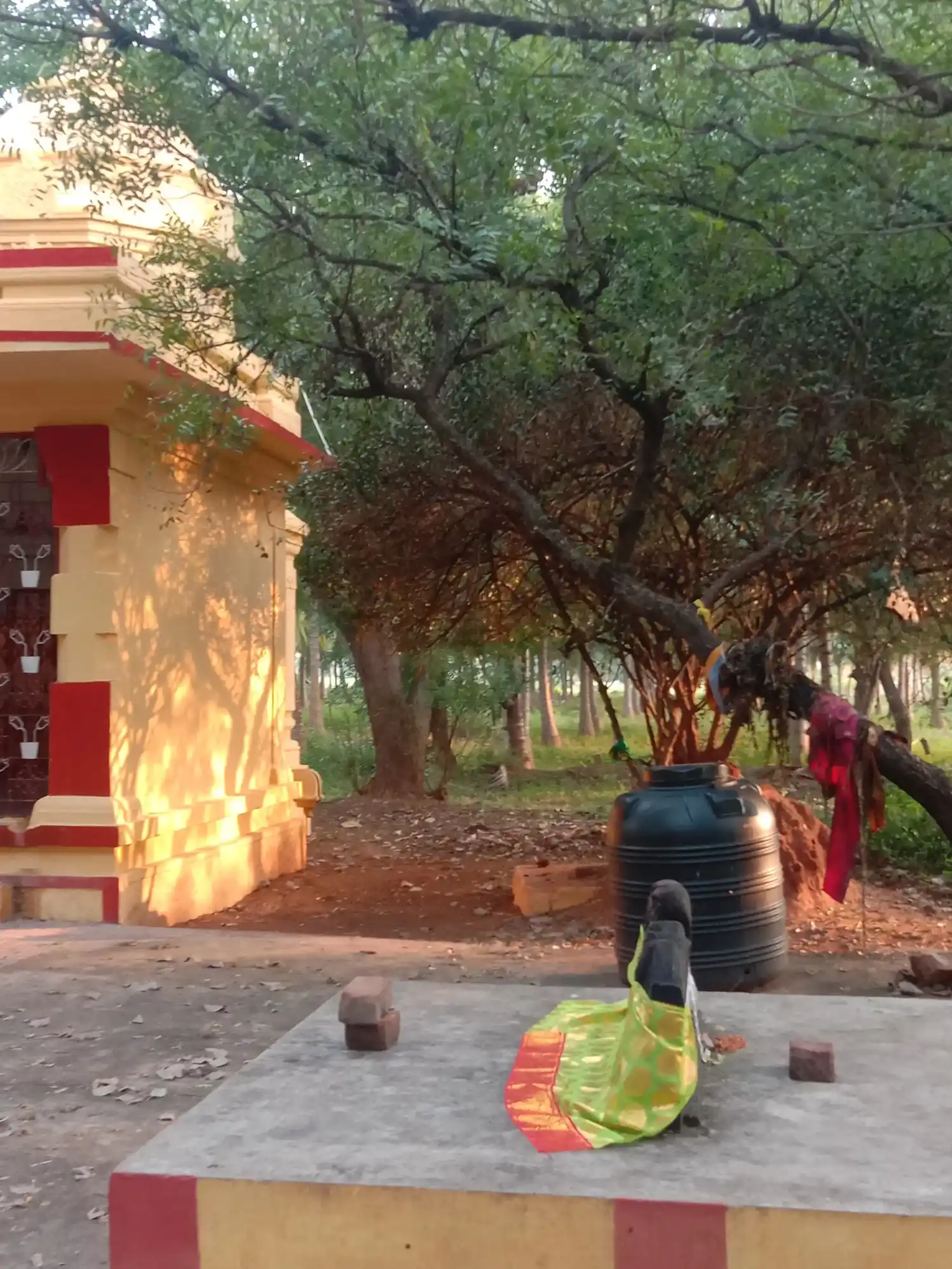 Arulmigu Ammatchiyaramman Temple, Ammachiyarpuram - 625531 அம்மச்சியாரம்மன் திருக்கோயில், Ammachiyarpuram - 625531, Theni - Ancient Temple Architecture and History Image 4