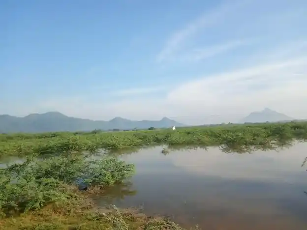 Arulmigu Ammatchyar Temple, Vannankulam - 625706