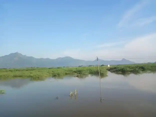 Arulmigu Ammatchyar Temple, Vannankulam - 625706 அருள்மிகு அம்மச்சியார் திருக்கோயில், Vannankulam - 625706, Madurai - Ancient Temple Architecture and History Image 3