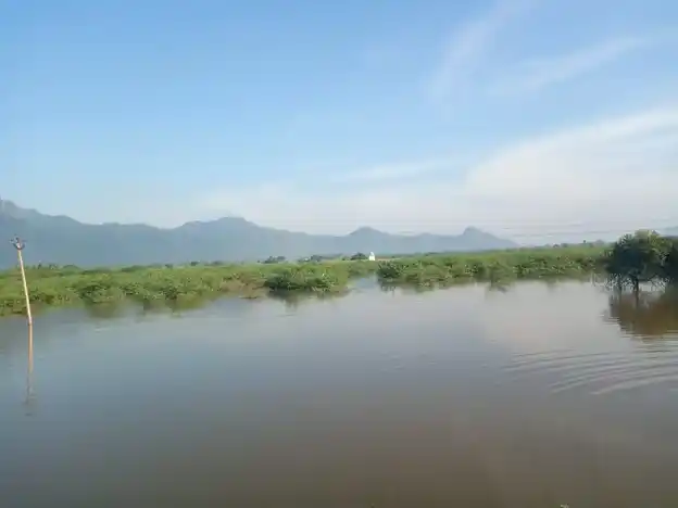 Arulmigu Ammatchyar Temple, Vannankulam - 625706 அருள்மிகு அம்மச்சியார் திருக்கோயில், Vannankulam - 625706, Madurai - Ancient Temple Architecture and History Image 4