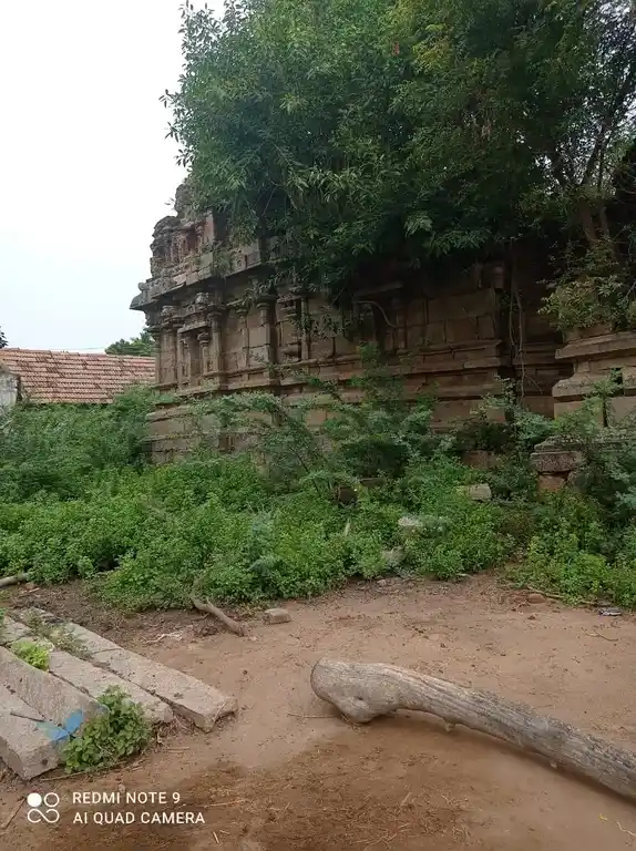 Arulmigu Anadeeswara Swamy Temple, Aarkadu - 613104 அருள்மிகு அனந்தீஸ்வரர்சுவாமி திருக்கோயில், Aarkadu - 613104, Thanjavur - Ancient Temple Architecture and History Image 3