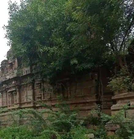 Arulmigu Anadeeswara Swamy Temple, Aarkadu - 613104 அருள்மிகு அனந்தீஸ்வரர்சுவாமி திருக்கோயில், Aarkadu - 613104, Thanjavur - Ancient Temple Architecture and History Image 4