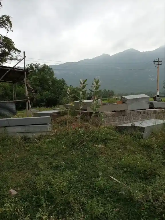 Arulmigu Anai Mariamman Temple, Mattuvelampatty - 637505 அருள்மிகு மாரியம்மன் திருக்கோயில், Mattuvelampatty - 637505, Namakkal - Ancient Temple Architecture and History Image 3