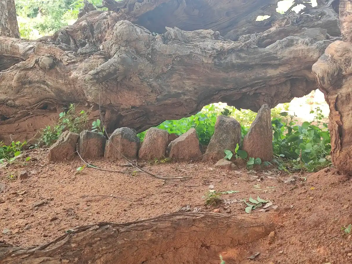 Arulmigu Anaikannimar And Kottai Kannimar Temple, Sivagnanapuram - 624219